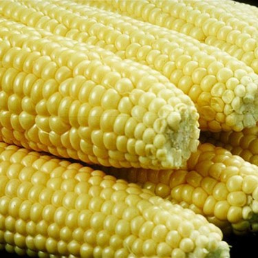 Corn