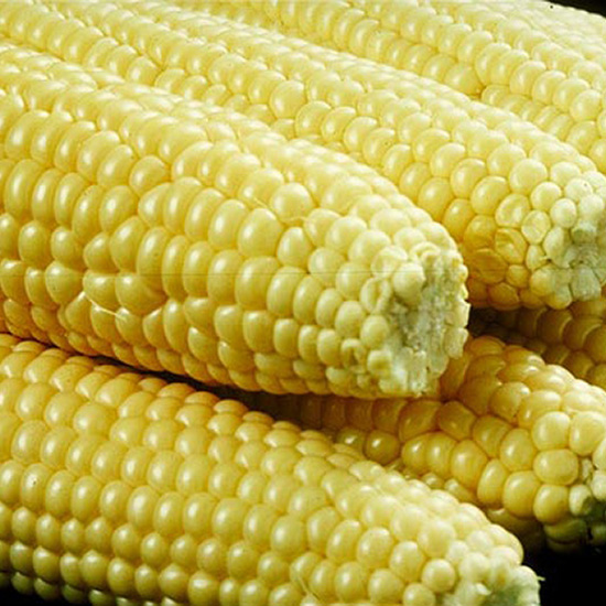 Corn